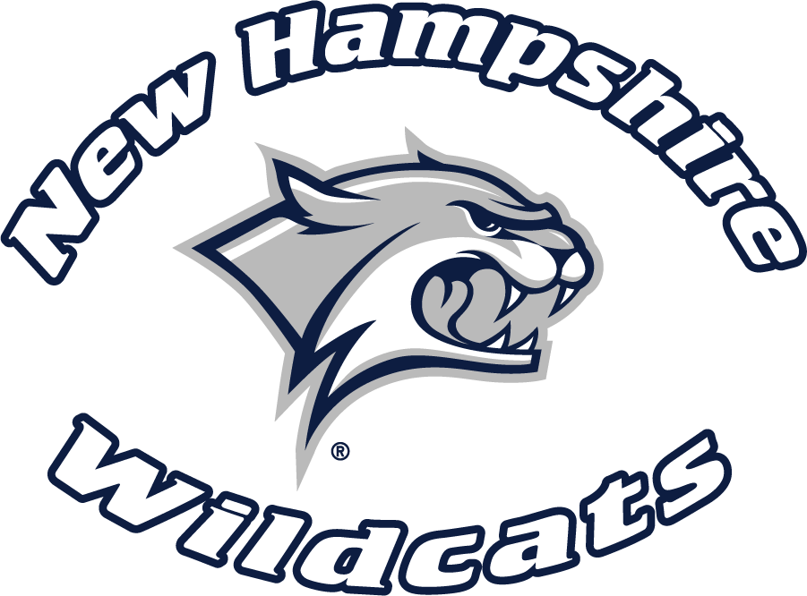 New Hampshire Wildcats 2000-2019 Wordmark Logo DIY iron on transfer (heat transfer)